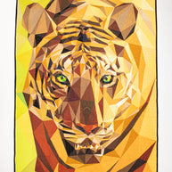 Tiger Quilt Kit
