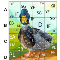 James Pond Quilt Kit