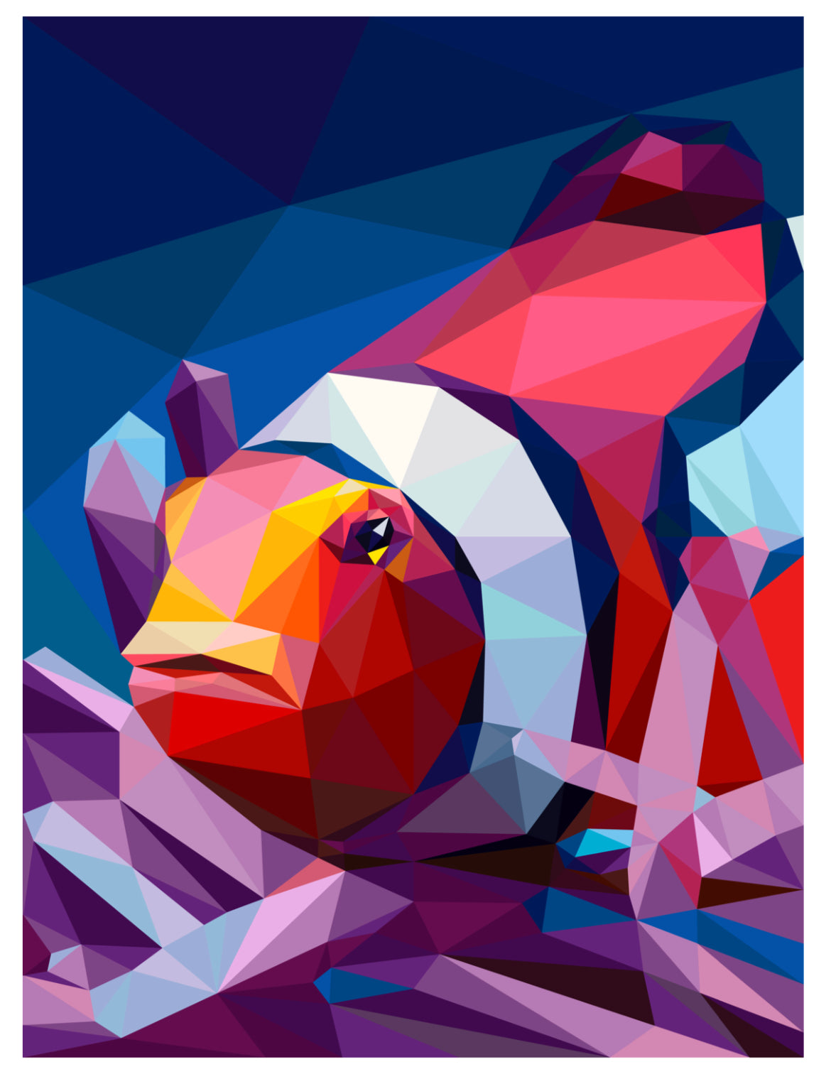 Clownfish Quilt Kit