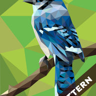 BJ the Blue Jay Pattern