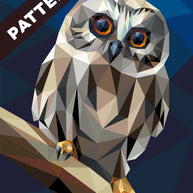 Big Hooter Pattern