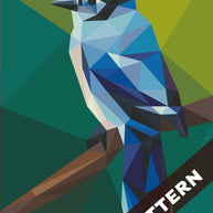 Blue Jay Mini Pattern (CONFETTI)