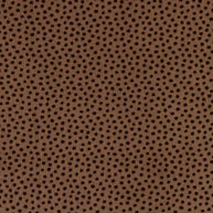 Brown Extra Wide Dottie Cuddle Cocoa Fabric per yard