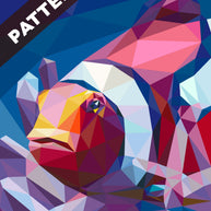 Clownfish Pattern