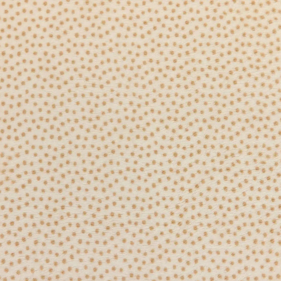 Cream Extra Wide Dottie Cuddle Sand Fabric per yard