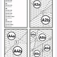 Lion Pattern