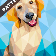Everest the Retriever Pattern
