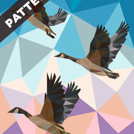 Flying Geese Pattern