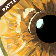 Hazel Iris Pattern