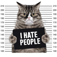 I Hate People Angry Cat Mugshot Fabric Panel