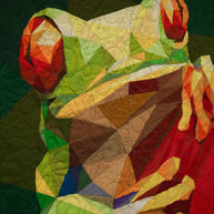 Tree Frog Pattern