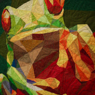 Tree Frog Quilt Kit