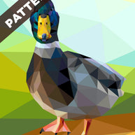 James Pond Pattern