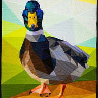 James Pond Quilt Kit