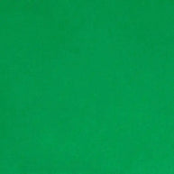 Kelly Cuddle 3 Extra Wide Solid Minky Fabric Per Yard