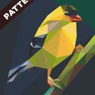 Lil Chip Pattern (KONA)