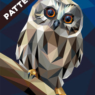 Little Hooter Pattern