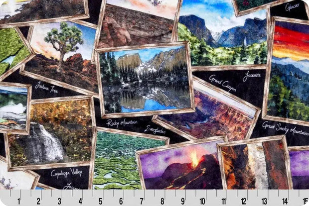 Multi Black National Parks Digital Cuddle Black Fabric per yard
