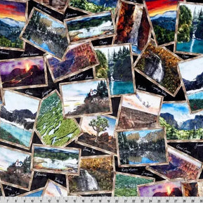 Multi Black National Parks Digital Cuddle Black Fabric per yard