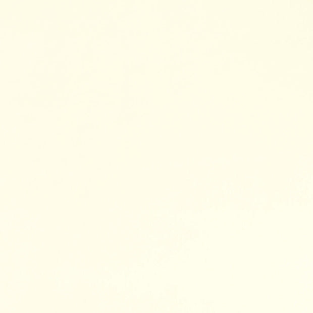Quilting Cuddle Solid Ivory Fabric Per Yard