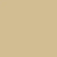 009 Baguette Signature Cotton Thread