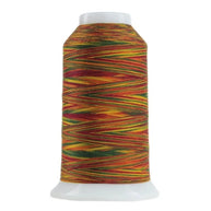9150 Mix and Mingle Omni Variegated Polyester Thread