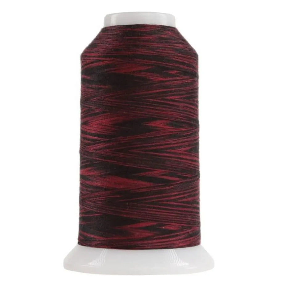 9017 Ladybug Omni Variegated Polyester Thread