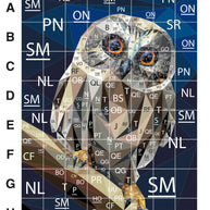 Big Hooter Pattern