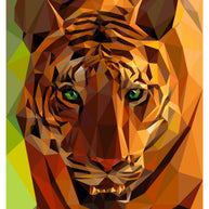 Tiger Pattern