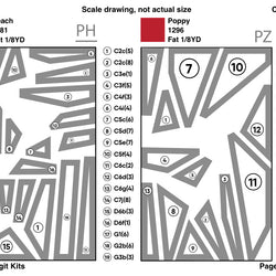 Muscle Pattern