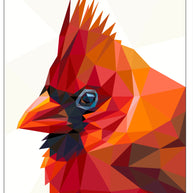 Cardinal Quilt Kit