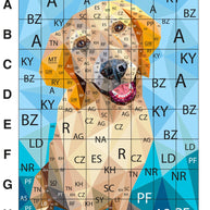 Everest the Retriever Pattern