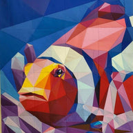 Clownfish Pattern