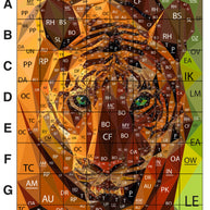 Tiger Quilt Kit