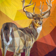 White Tail Buck Pattern