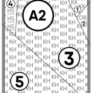 Drum the Cat Pattern