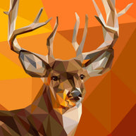 White Tail Buck Pattern