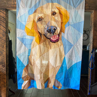 Everest the Retriever Pattern
