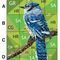 BJ the Blue Jay Pattern