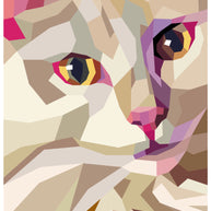 Drum the Cat Quilt Kit