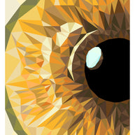 Hazel Iris Pattern