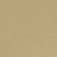 Quilting Cuddle Solid Honey Fabric Per Yard